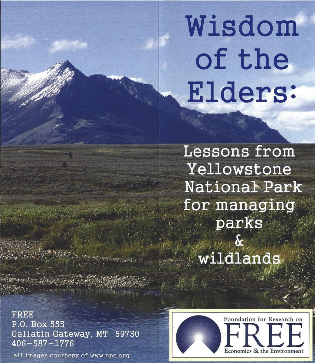 Capturing the “Wisdom of the Elders”